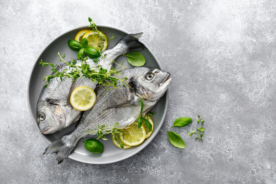 Fish raw dorado sea bream with lemon slices and herbs on grey background
