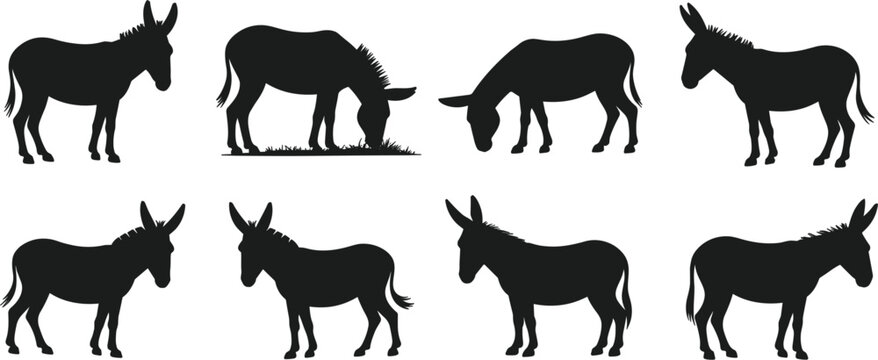 Donkey silhouettes collection of farm animals walking and grazing set on white background