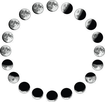 Moon phases circle vector set on white background with lunar calendar cycle orbit illustrations