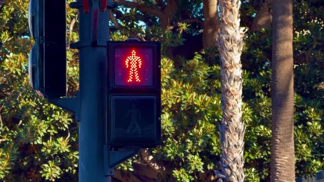 Static view of the countdown of a red traffic light with prohibition to cross the street. High quality 4k footage