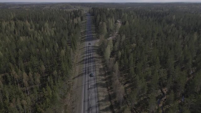 Aerial view of a straight road cutting through endless pine forest in Finland with a car driving