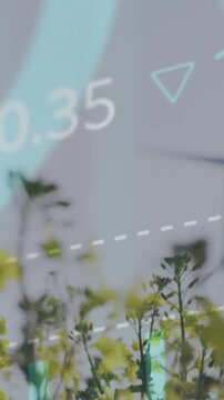 Animation of stock market data processing against flowers fields and spinning windmills on grassland