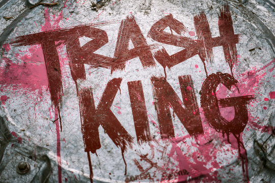 Backyard Mischief - Text "Trash King", Backyard Mischief, metallic silver galvanized trash can lid typography covered in tiny scratches, contrasting industrial metal against bright neon pink graffiti 