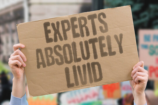 "Experts absolutely livid" Specialists express fury publicly. EXPERTS. LIVID. FURY. SPECIALISTS. PUBLIC.