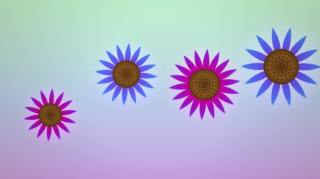 Animated looping background with four gradient sunflowers on purple and teal fade.