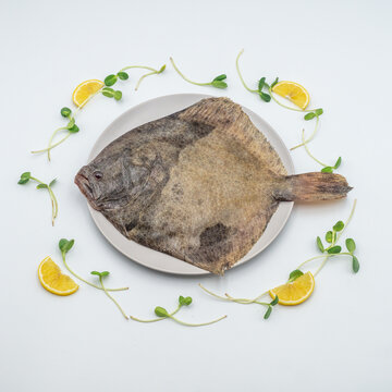 Fresh raw flounder fish on a plate with lemon slices, top view