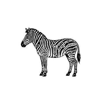 Zebra Black and White Striped Vector Illustration