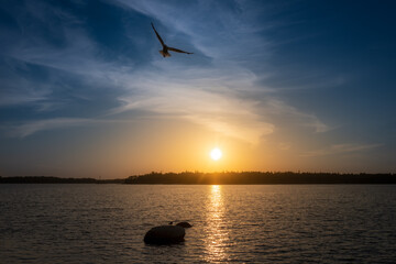 Fototapeta premium Late night sunset in Finland, the sun is setting over the sea.
