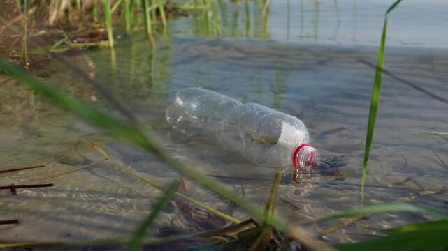 A discarded plastic bottle floats partially submerged in clear shallow lake water surrounded by green reeds. Natural sunlight illuminates the environmental debris near the shore.
