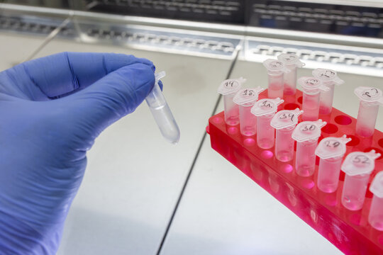 A scientist holds a small test tube with a clear liquid next to a red stand and experimental test tubes.