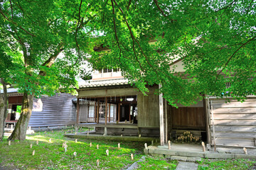 新緑に囲まれた東桂園の日本庭園（新潟県関川村） © UI_forever