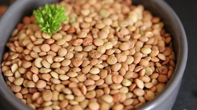 Green lentils raw grains appetizer food preparation vegetable dish tasty snack fresh gourmet rustic food background on the table&nbsp; rustic food top view copy space keto and paleo diets vegetarian and ve