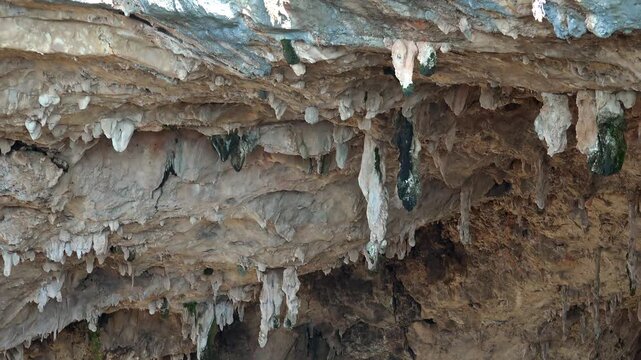 Stalactite ceiling reveals fractured limestone inside a cavern with rich mineral structure. Rock formations and brown calcite texture create an underground geology scene with rugged detail.