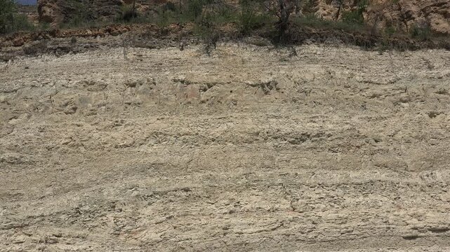 Layered soil strata reveal earth composition, showing clear bands across a geologic cross section. Stratified ground and mineral layers form an educational scene with exposed terrestrial structure.