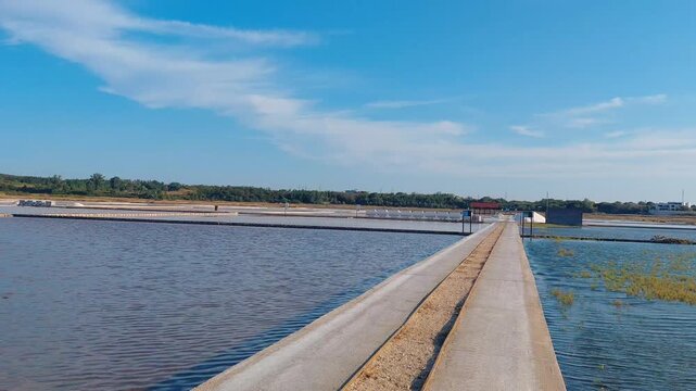 Panoramic scenic view of the historic salt pans and wetlands at Solana Nin in Croatia. Evaporation basins, concrete pathways, and lush aquatic vegetation under a clear blue sunny sky in Dalmatia.