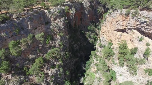Aerial view rises along deep canyon walls above pine forest and rocky Mediterranean cliffs. Karst valley formations reveal dramatic geology dense woodland rugged gorge relief.