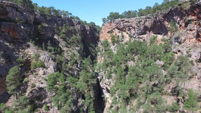 Aerial view rises along deep canyon walls above pine forest and rocky Mediterranean cliffs. Karst valley formations reveal dramatic geology dense woodland rugged gorge relief.
