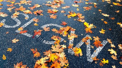 Slow down traffic sign painted on asphalt road covered with autumn maple leaves © NomadFrame