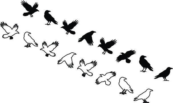 A spooky halloween scene featuring a flock of silhouetted crows in flight against a white background