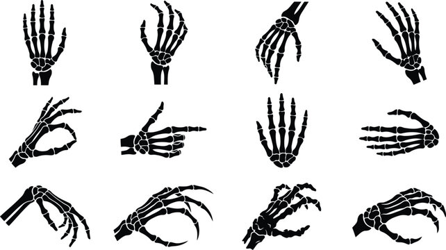 A collection of spooky skeletal hands and claws perfect for halloween designs and eerie illustrations