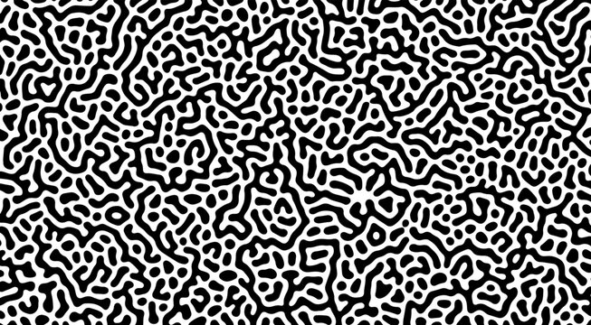 A complex black and white maze-like pattern generated by a reaction-diffusion algorithm, creating a dense organic texture.