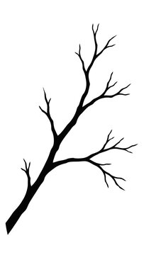 Black silhouette of a tree branch isolated on white background with bare tree dead tree design element silhouette isolated botanical minimalism wilderness environment contrast landscape