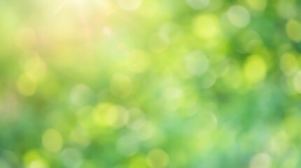 Fototapeta premium Abstract green nature background with soft sunlight bokeh and blurred forest leaves
