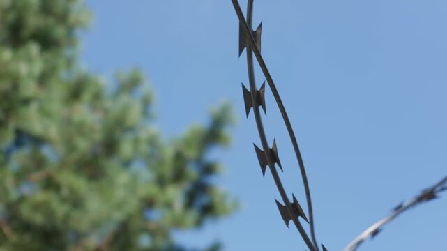 Sharp razor wire coils hang tightly against a clear blue sky on a bright sunny day. Concept of perimeter security, border control, and maximum surveillance protection.