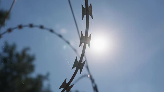 A detailed close-up shot of sharp razor barbed wire curling against a bright sun in a blue sky. Concept of border control, maximum security, and physical boundary limitation.