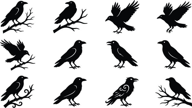Set of black crow silhouettes in various poses perfect for spooky halloween decorations and gothic design projects