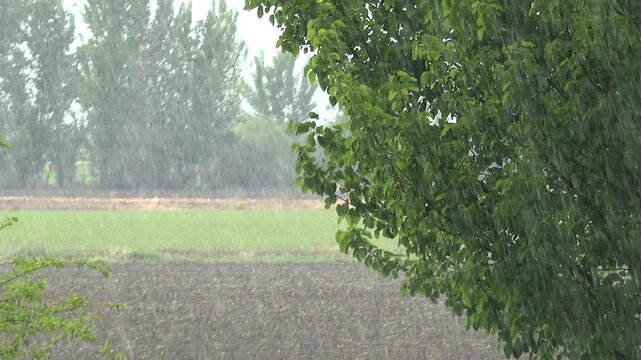 Heavy torrential rain pours across a rural landscape as sheets of water reduce visibility. Dark skies and intense precipitation create a severe weather scene.