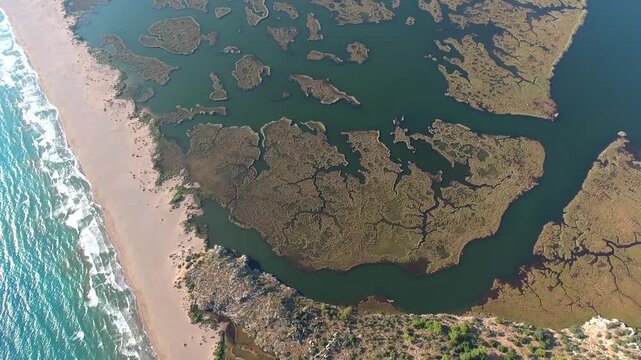 Coastal lagoon and delta formation along shoreline showing sediment deposition and barrier systems. Shallow basin reveals bars, marine habitat, evolving landforms visual appeal.