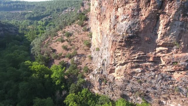 Aerial view rises along deep canyon walls above pine forest and rocky Mediterranean cliffs. Karst valley formations reveal dramatic geology dense woodland rugged gorge relief.