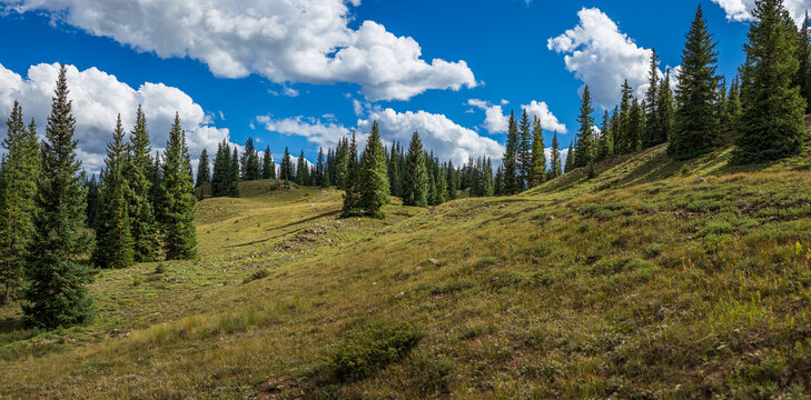 Mountain tundra hillside in dramatic lighting