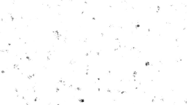 Small black speckles and flecks appear and disappear abruptly in a stop motion rhythm, forming a sparse, scattered grunge texture that repeats as a seamless loop.