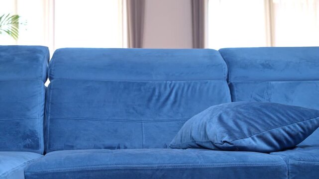 A black and tan dachshund dog sits on a blue sofa then jumps down and disappears from view, leaving the living room couch empty.