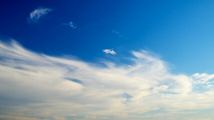 Fototapeta premium feathery white clouds scattered across the blue sky