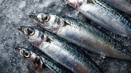 Obraz premium Fresh raw sardines on crushed ice at fish market, close-up