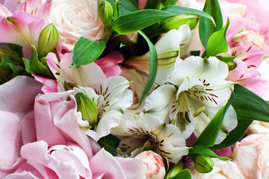 Delicate pink blooming roses and alstroemeria, a soft pastel background with blossoming flowers and green leaves. Wedding bouquet, floral card. Selective focus, shallow depth of field.