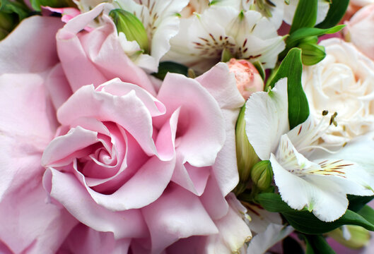 Delicate pink blooming roses and alstroemeria, a soft pastel background with blossoming flowers and green leaves. Wedding bouquet, floral card. Selective focus, shallow depth of field.