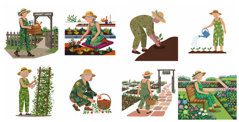 Fototapeta premium Set of senior woman gardening in community garden, planting, watering, and harvesting vegetables, flat vector illustrations of active retirement and hobby.