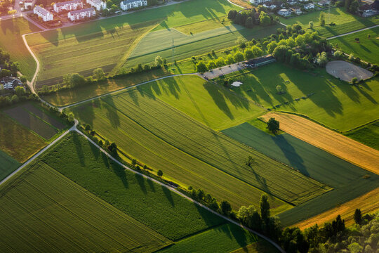Aerial view of lush green agricultural fields and meadows with long shadows cast by trees during golden hour in the rural outskirts of Zurich, Zurich, Switzerland.