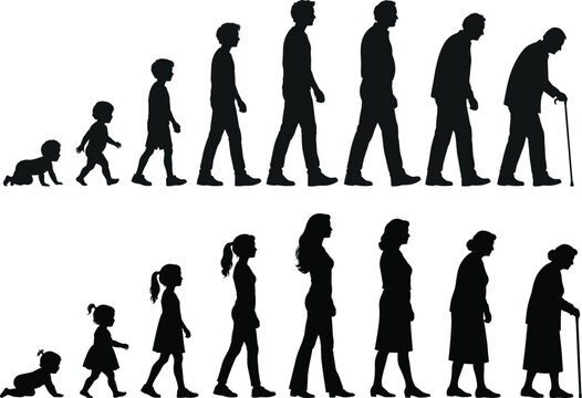 silhouettes of human life phases for men and women