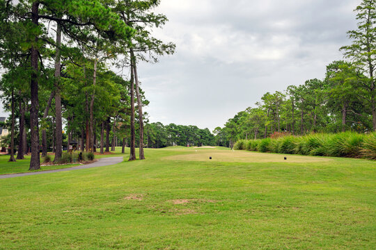 An open fairway surrounded by mature pine trees and manicured rough in Conway, South Carolina.