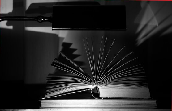 Open book close up, black and white, reading, education, knowledge concept.