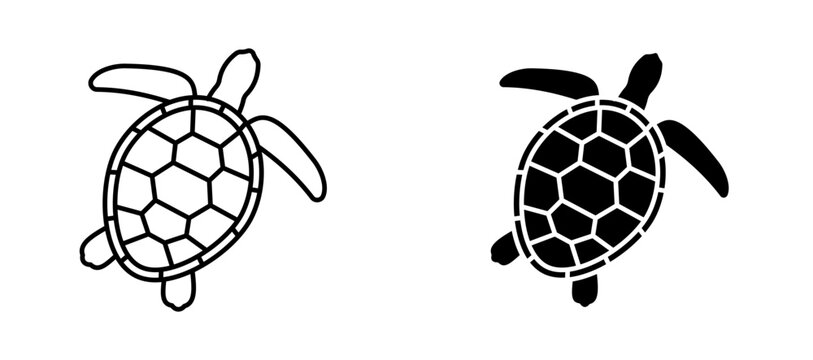 Sea turtle icon flat outline in black