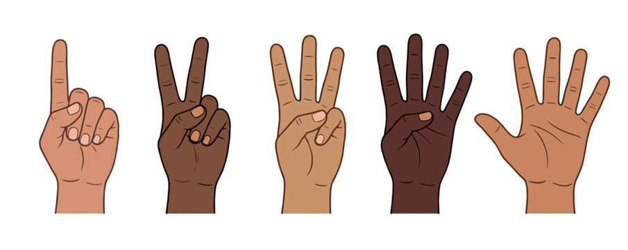 Five diverse hands showing numbers one through five, each with a unique skin tone, clearly illustrating counting, sequence, and numerical representation.