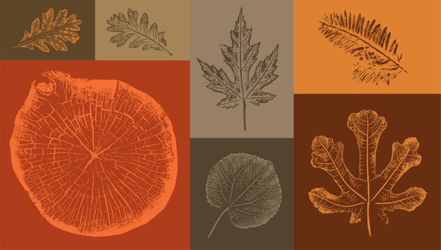 Boho leaf sketch art with fall autumn colors. Decorative print or natural background. Boho style print for card or invitation design.