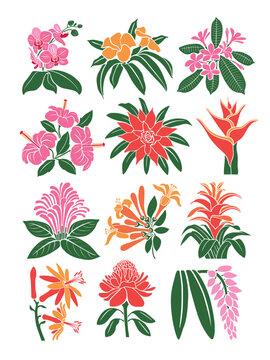 Set of tropical flowers and leaves silhouettes. Hand drawn floral design elements. Colorful outlines of wild and garden flowers and leaves isolated on white background.