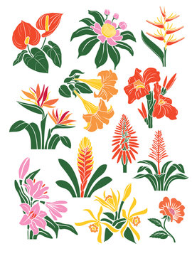 Set of tropical flowers and leaves silhouettes. Hand drawn floral design elements. Colorful outlines of wild and garden flowers and leaves isolated on white background.